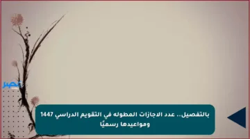 بالتفصيل.. عدد الإجازات المطولة في التقويم الدراسي 1447 ومواعيدها رسميًا